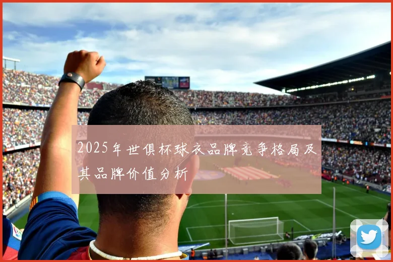 2025年世俱杯球衣品牌竞争格局及其品牌价值分析